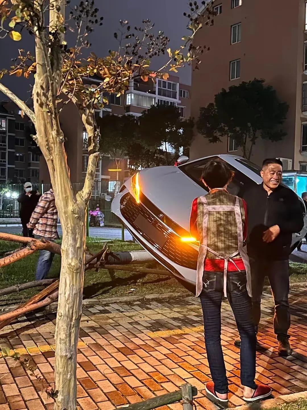 还没上牌，就把第一次献给了小区的大树，太可惜了！从车主展示的底盘来看，秦L的底盘