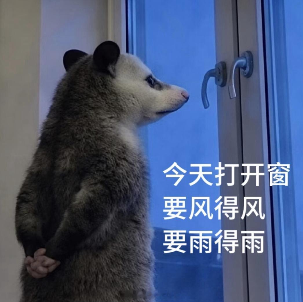 台风位置暴雨锁死居家模式，身体宅在家里，思绪早就飞到辣条薯片身上。 