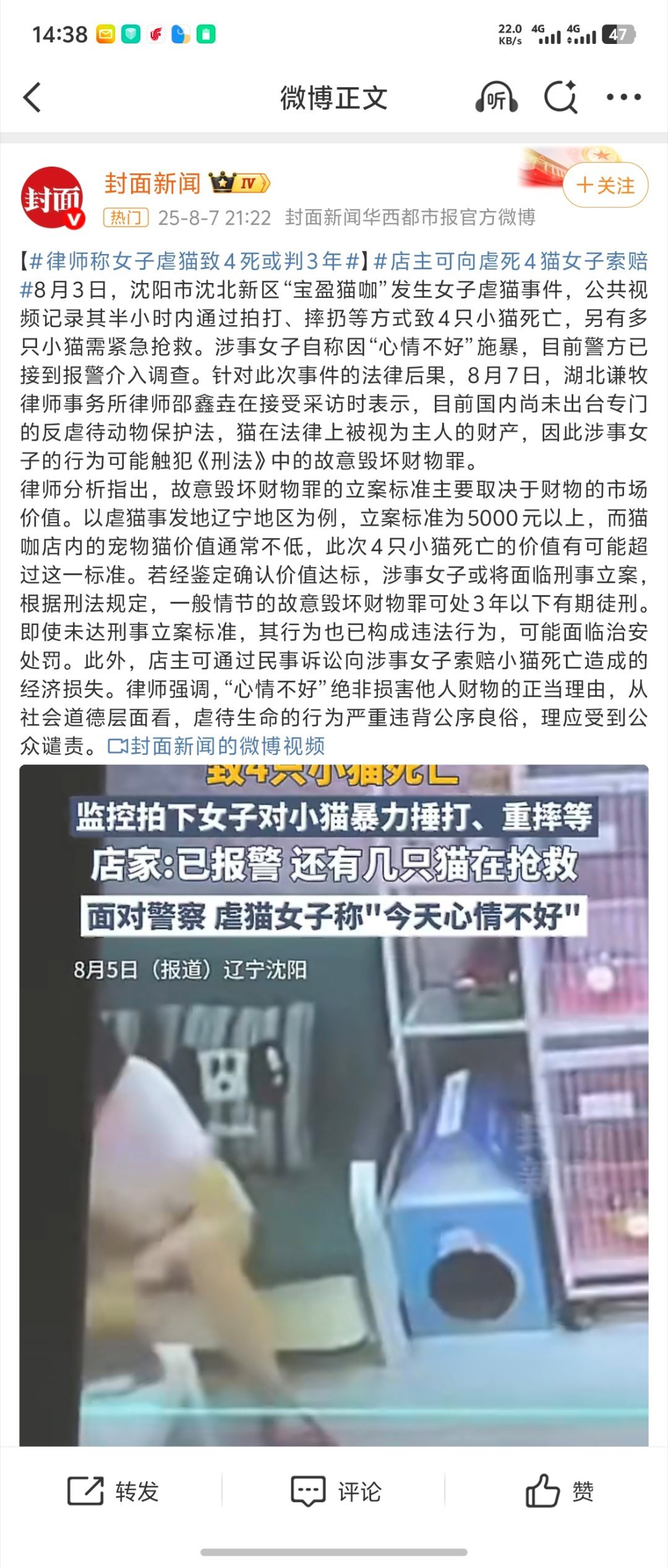 女子虐猫致4死或判3年超级无敌遗憾，她是因为损坏他人财务进去的而不是因为虐待动物