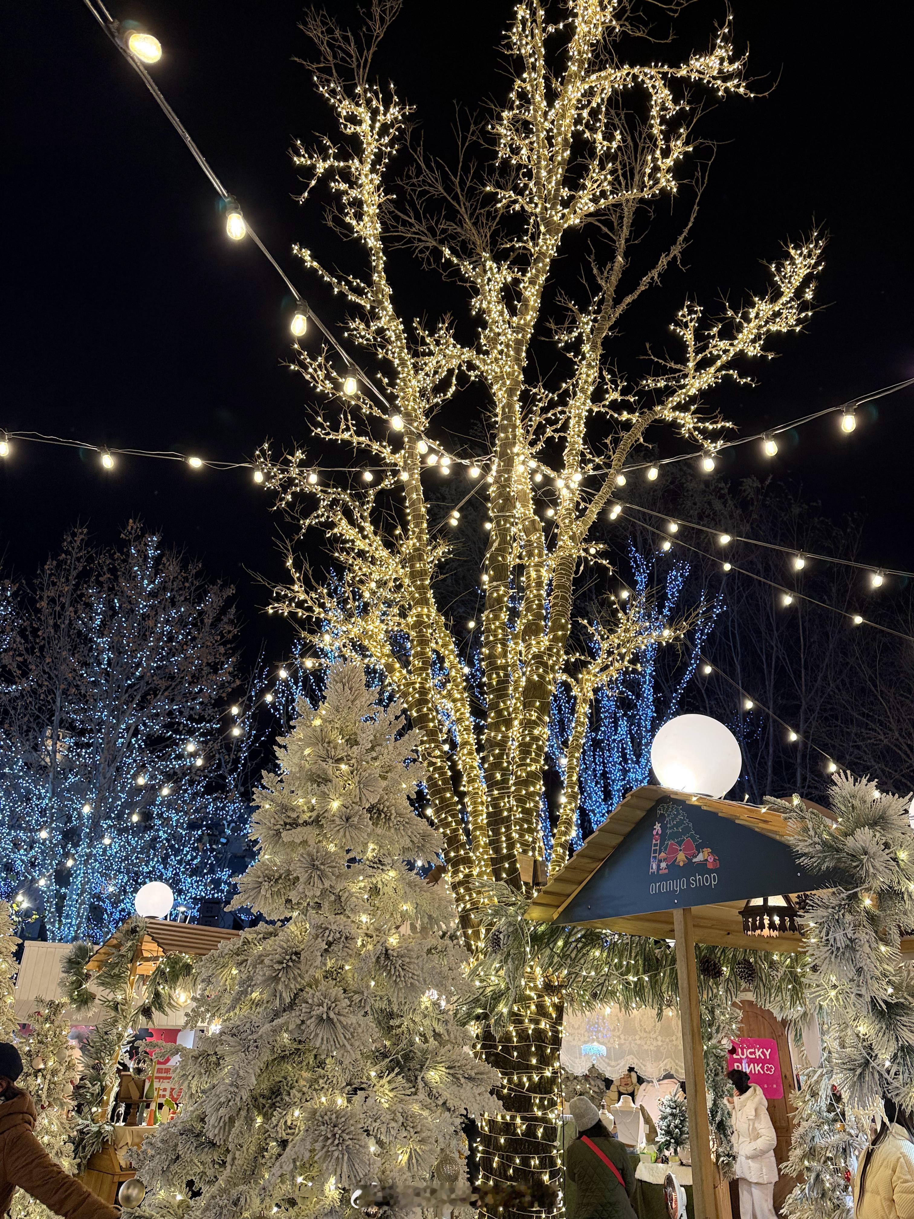 ᐝ 𝐓𝐨𝐨𝐨𝐨𝐝𝐚𝐲 𝐢𝐬 …🐈⬛🥯ᵕ̈𓂂𓏸拼图合集