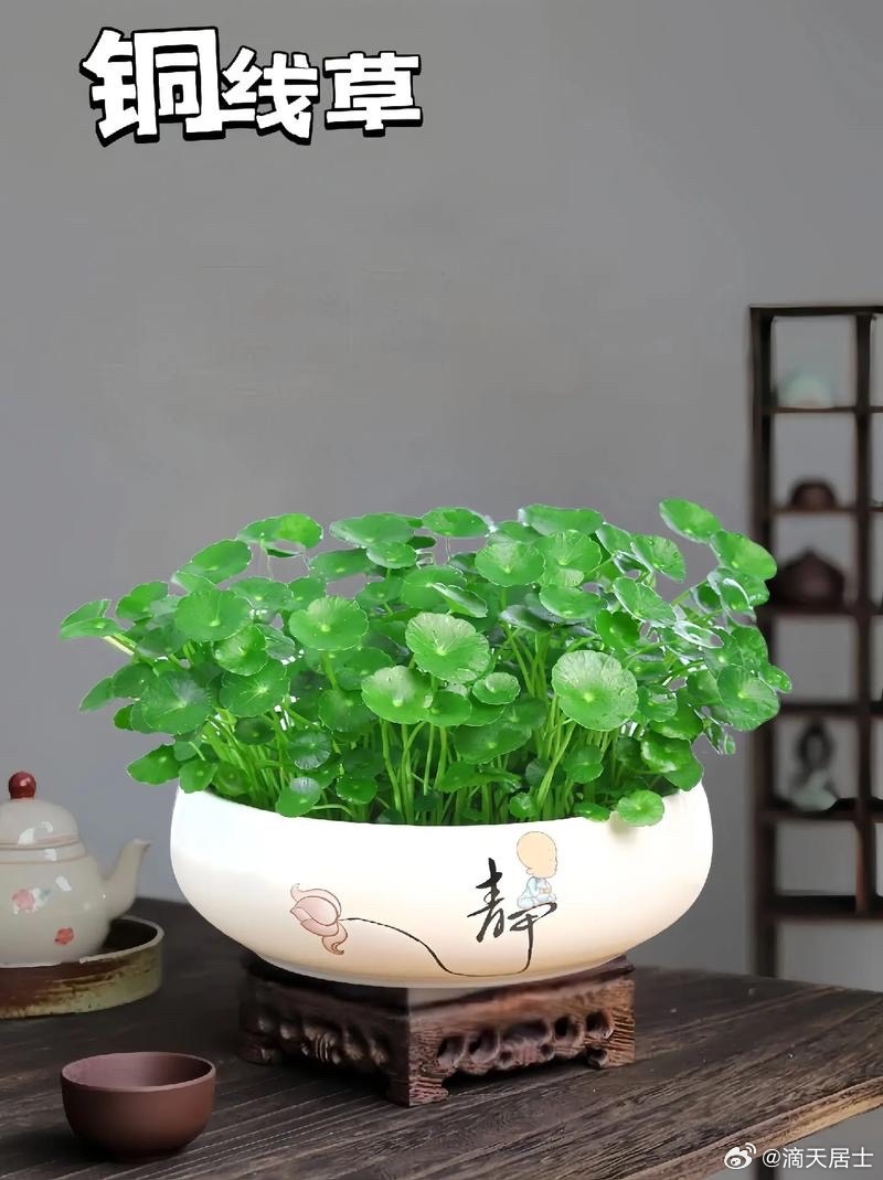 利财运的传统智慧：借“天时”：择吉而动的智慧重要决策（签约、启动新项目）避开“四