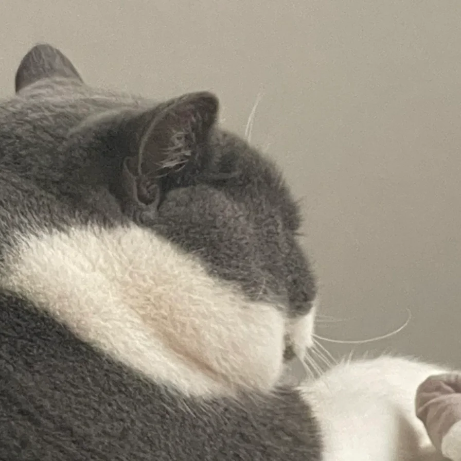 鼻噶大点还有眼睫毛