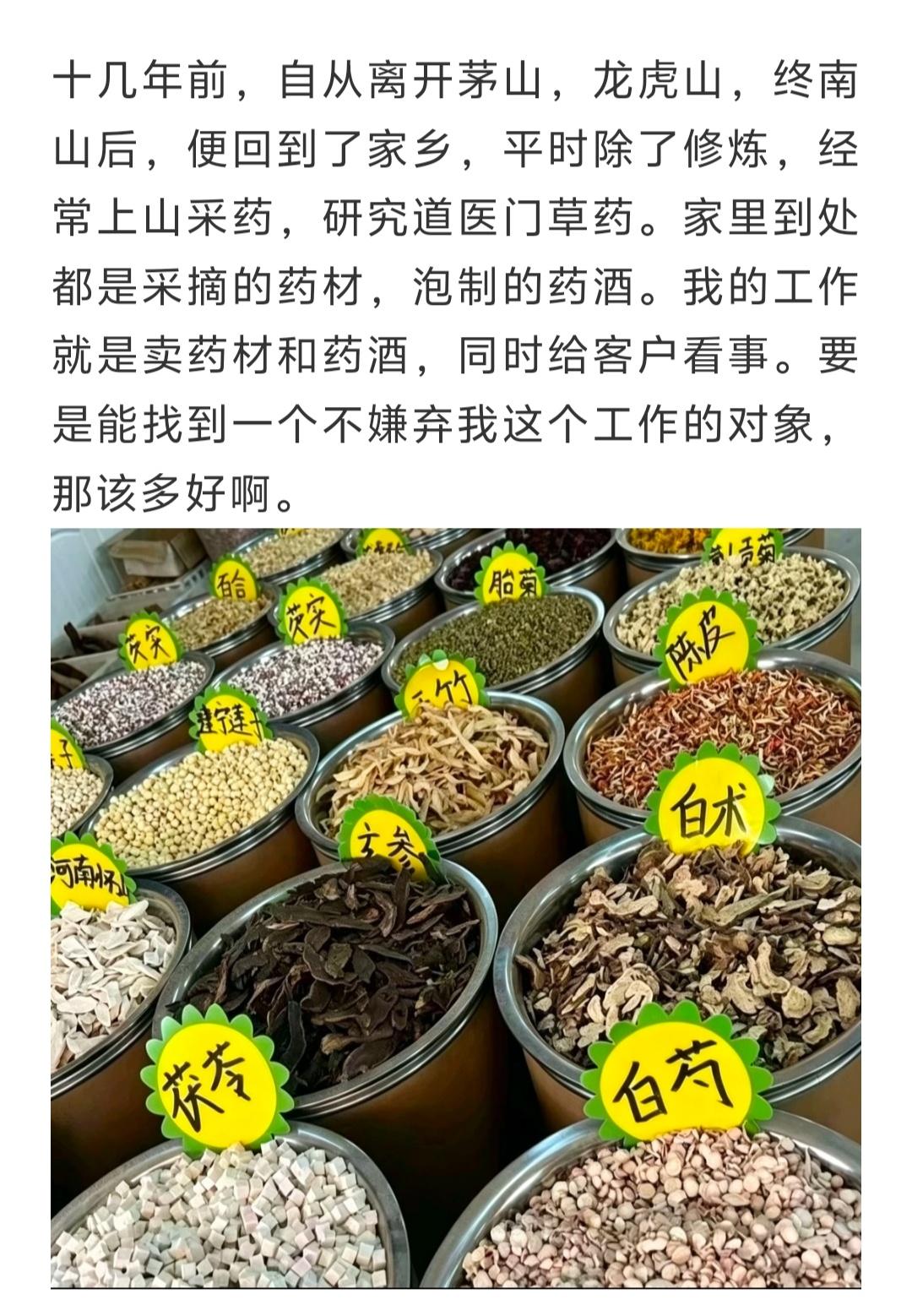 十几年前，自从离开茅山，龙虎山，终南山后，便回到了家乡，平时除了修炼，经常上山采