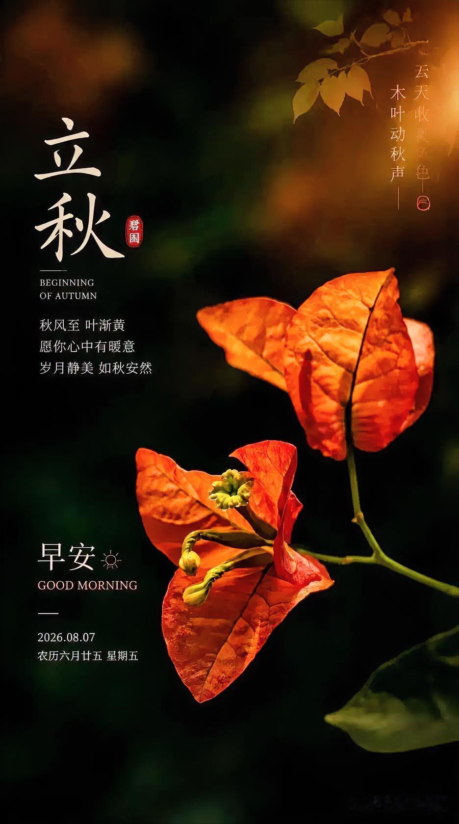 ☀️早安·立秋
一叶知秋色
清风送浅凉
和盛夏挥手作别
愿所有的遗憾随风散去
美
