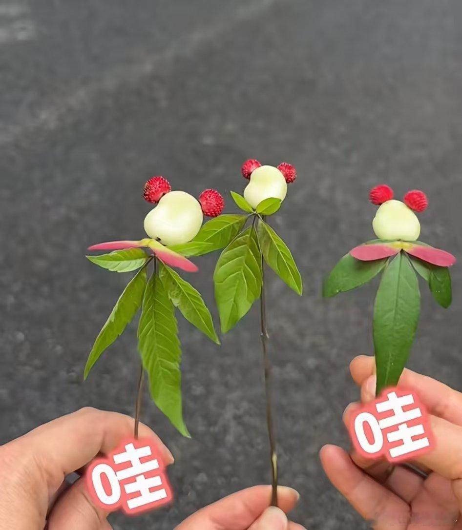 见过很多种旅行方式，还是第一次看到这样的反向操作，不铺张不浪费，在有限的预算里，