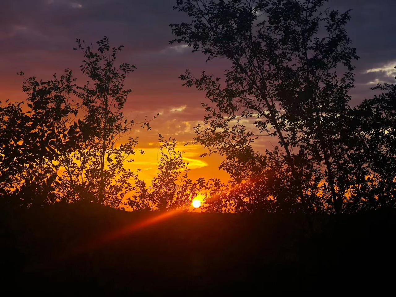 这件事情要破局其实很简单，事发地的居民去外地县市医院体检，看看是否都没问题，其次