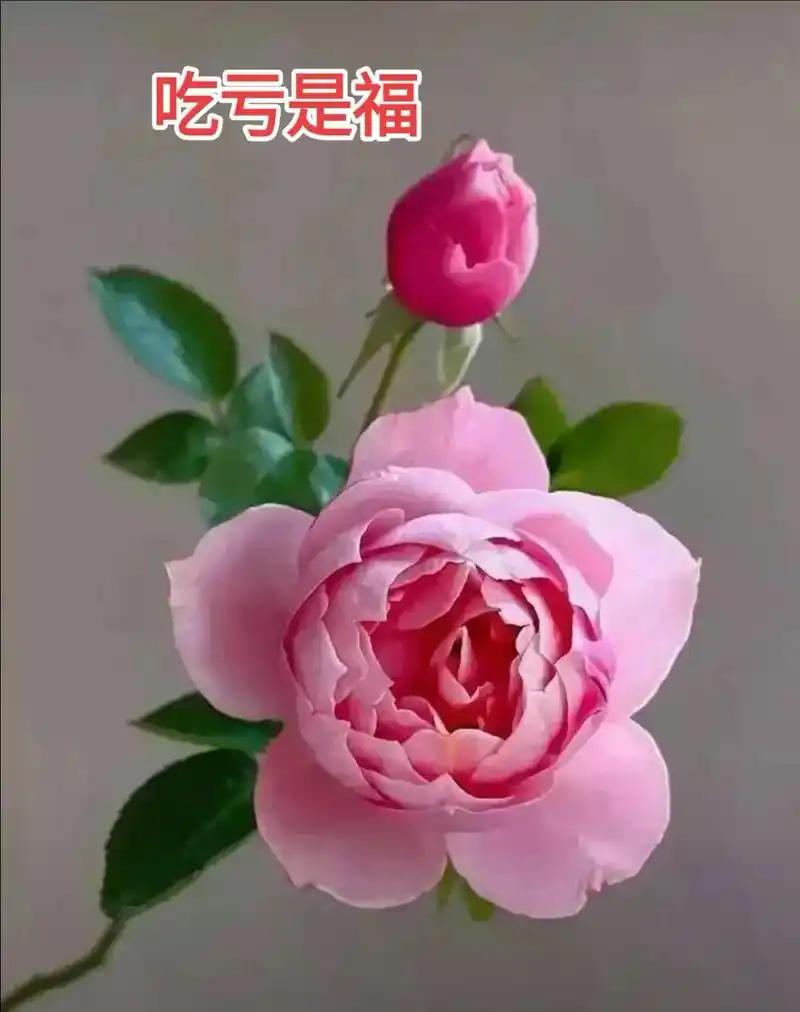 我认为相信
我相信吃亏是福。适当吃亏体现了宽容和善良，能赢得别人的尊重与信任，促