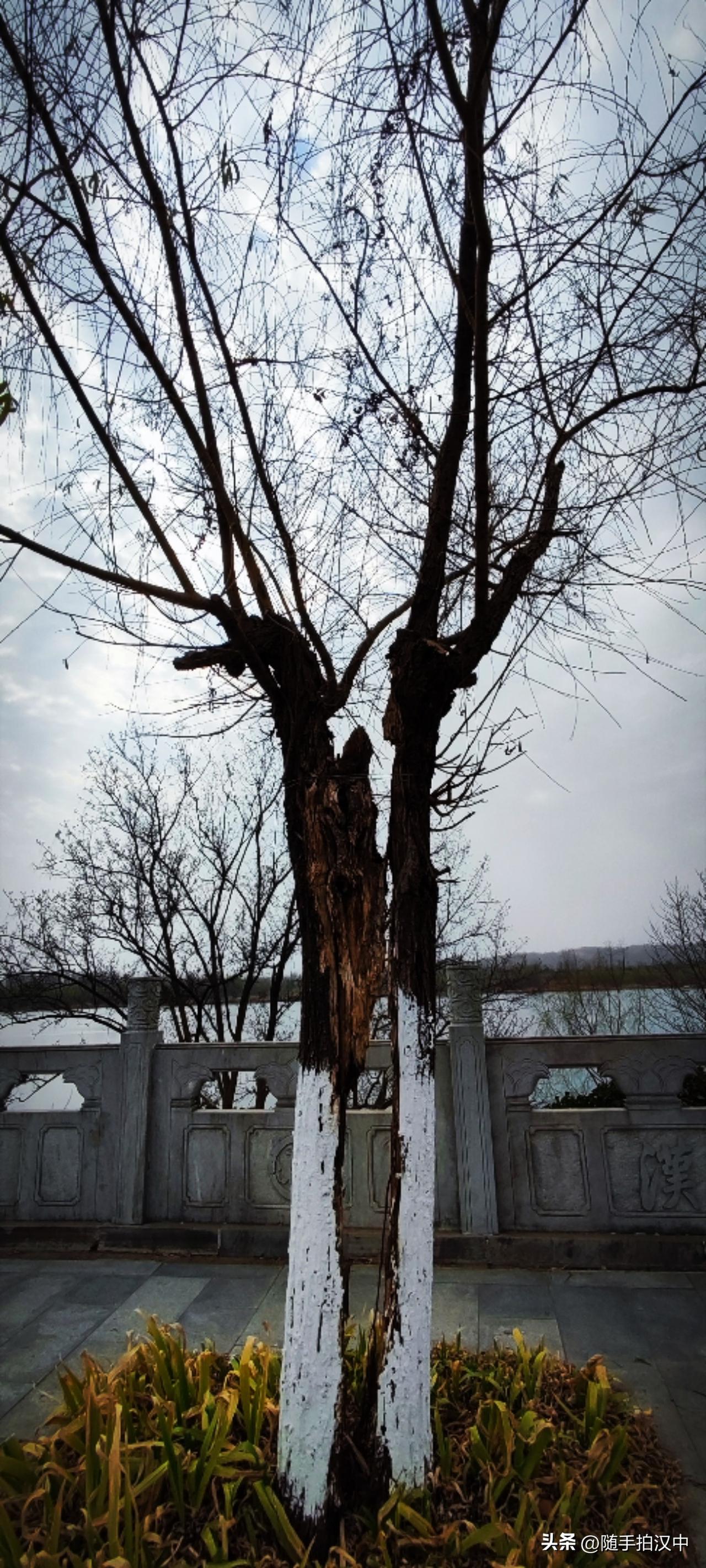 今年冬天的不同世界如何，时间都进入了三月，日子还是继续。炮火与战局构成的一方局势