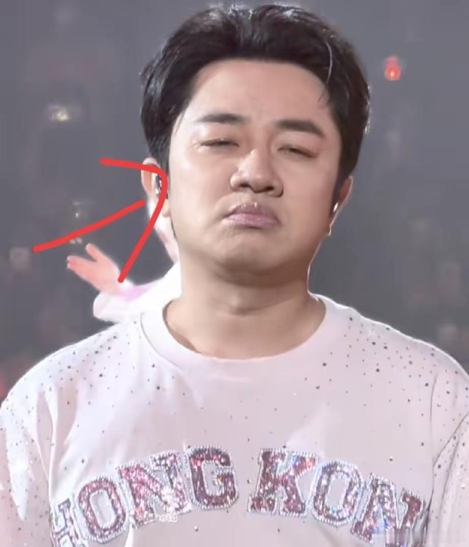 李昊演唱会现场有个细节特有意思不是他的大衣太长遮住了脚，是王祖蓝穿着李昊头像的亮