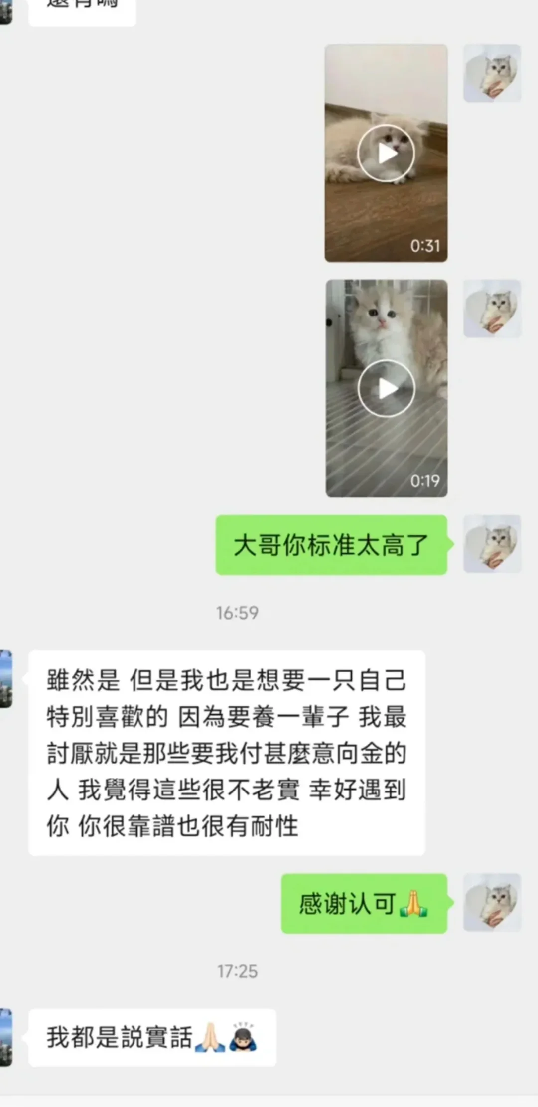 🇭🇰HK買貓💛麻煩了，我今天遇到事了