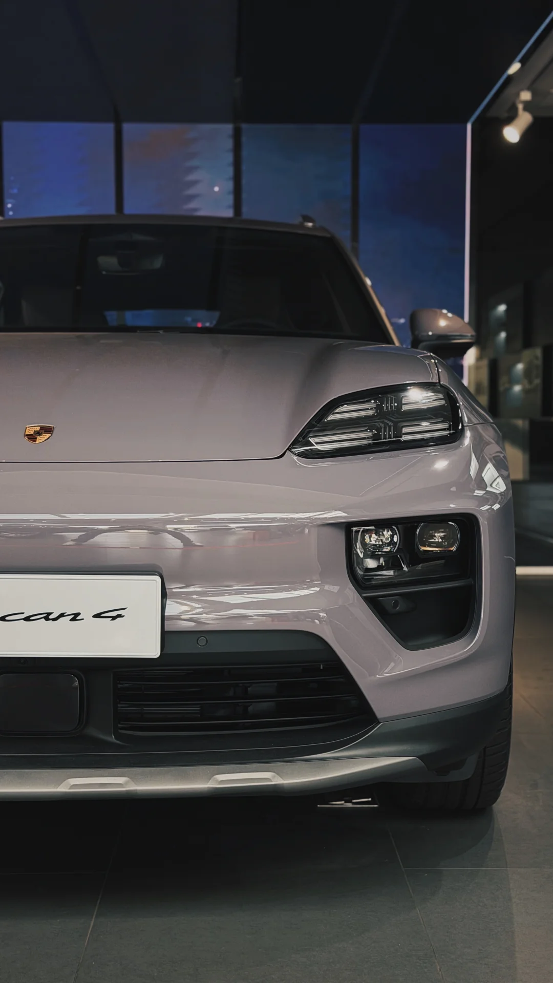 新的一年，紫气东来💜