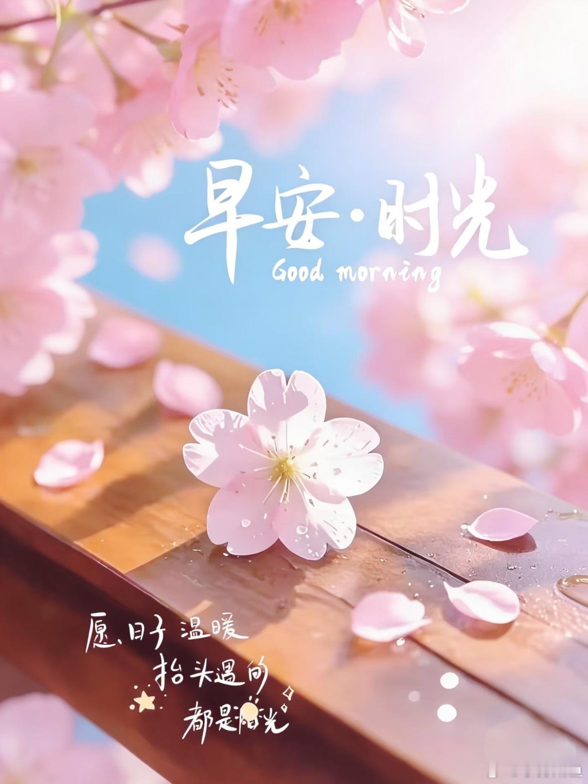 🌈 新的一天，把生活调成自己喜欢的频道。 太阳升起，把昨天翻篇，今天又是崭新的