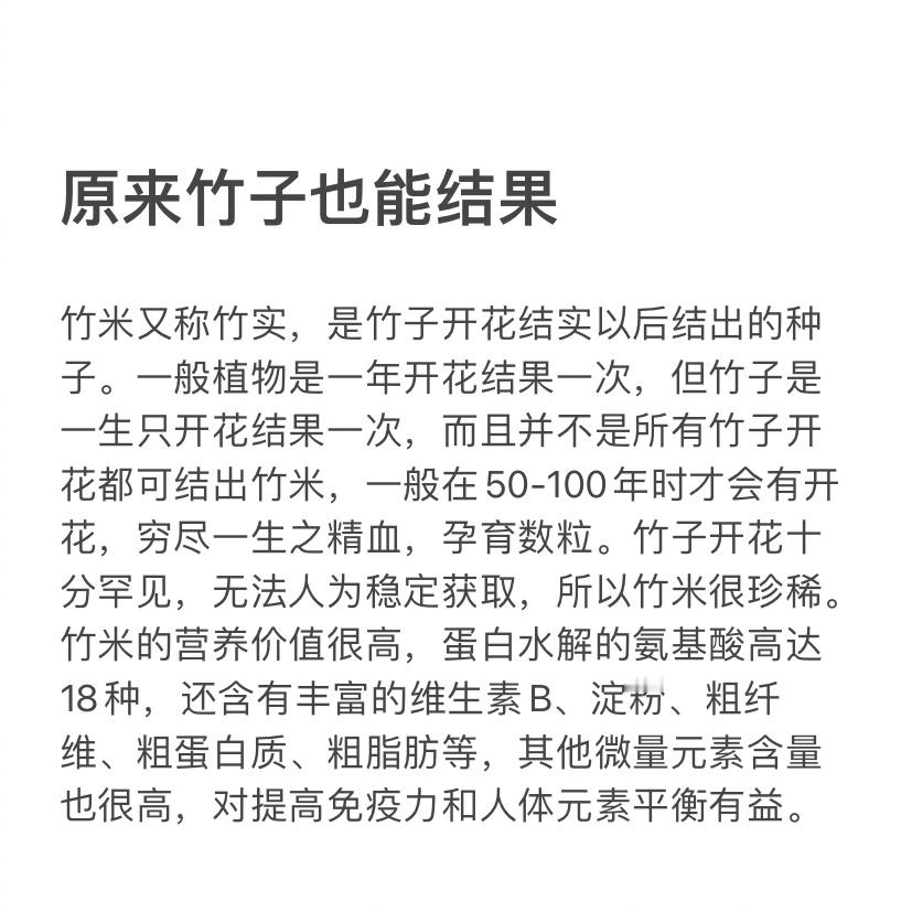 原来竹子也能结果   竹米又称竹实，是竹子开花结实以后结出的种子。竹米的营养价值