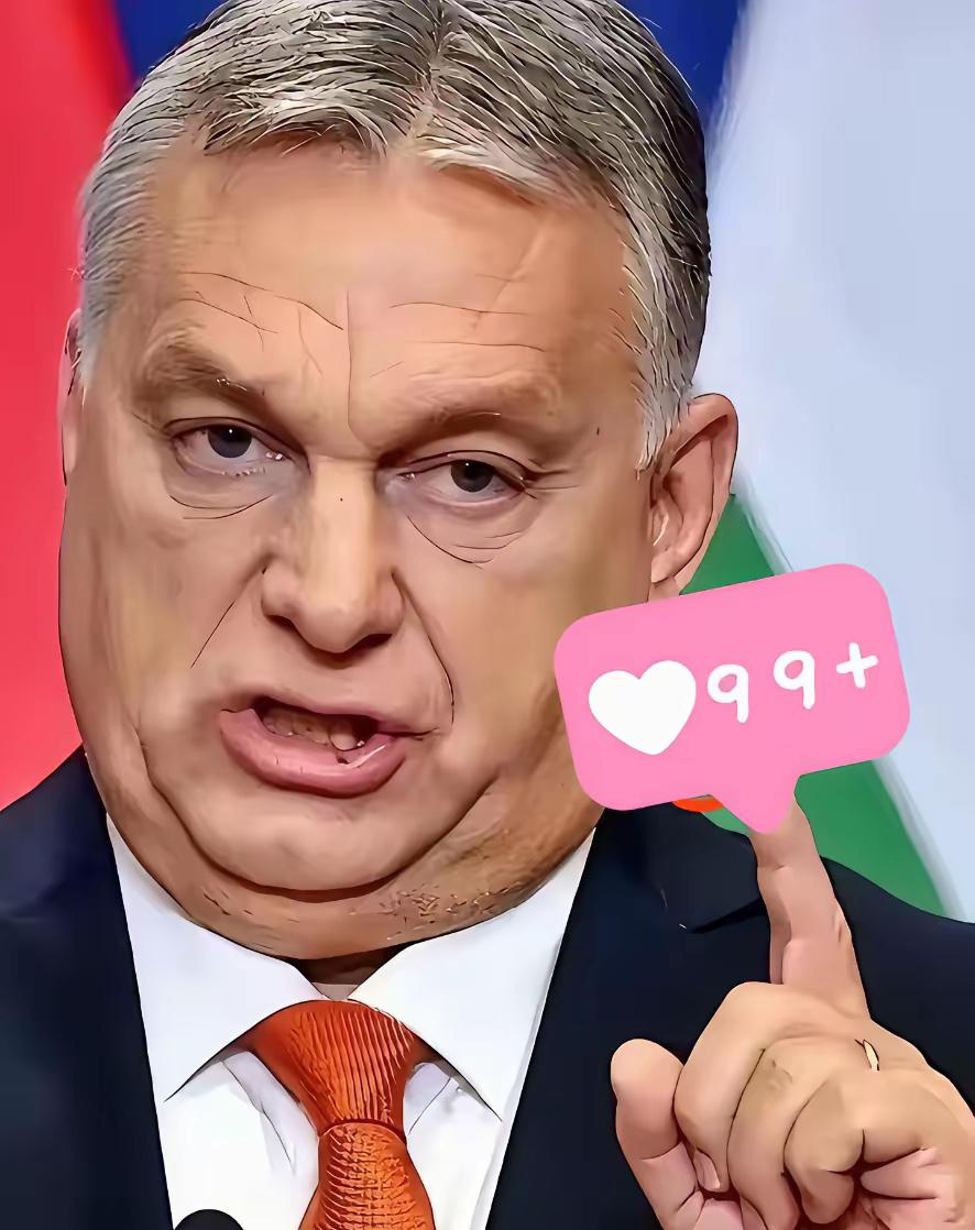 快报！ 快报！

匈牙利宣布了
1月5日，匈牙利总理欧尔班5日表示，在当前国际政