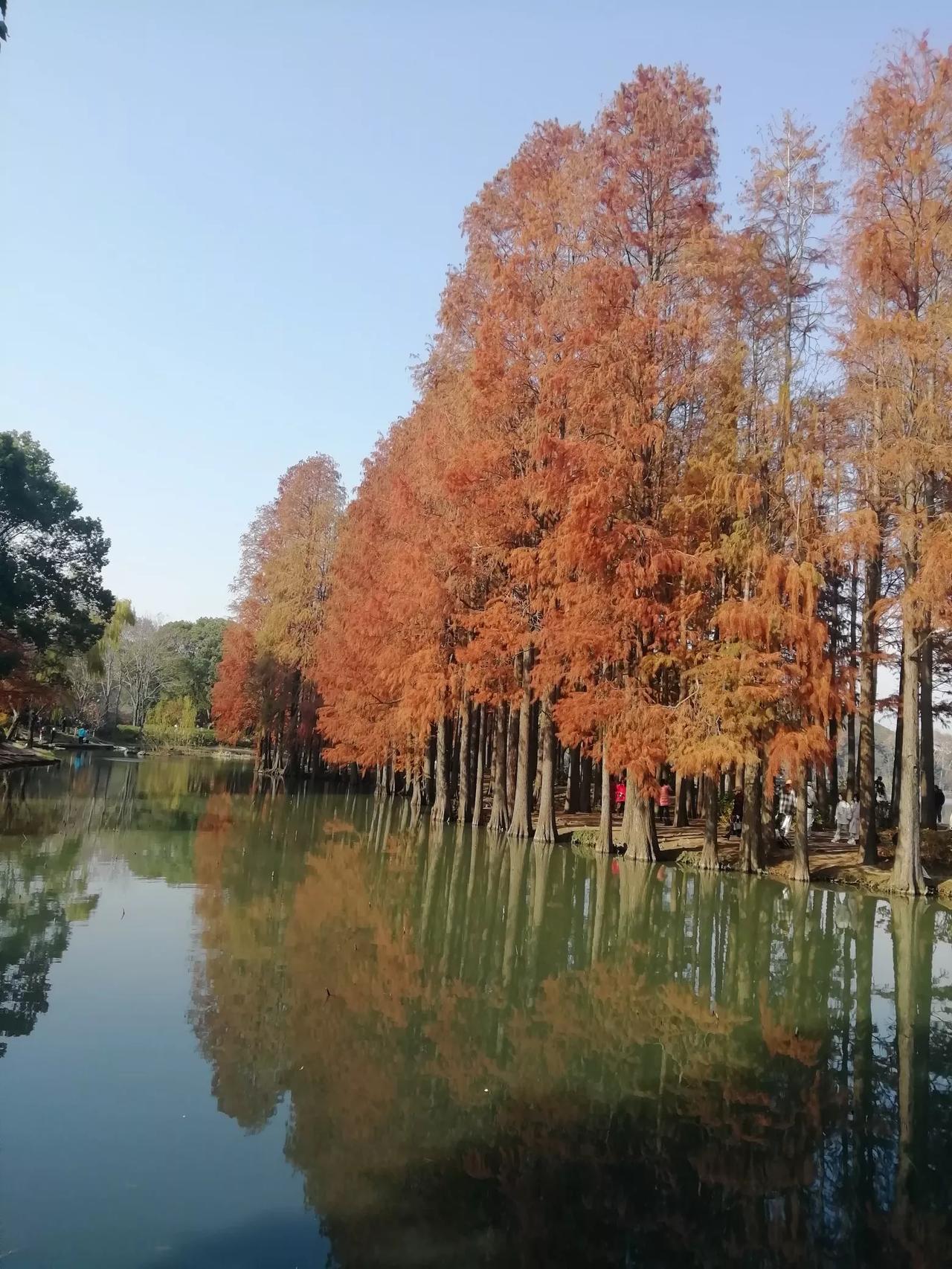 随手拍的一张风景