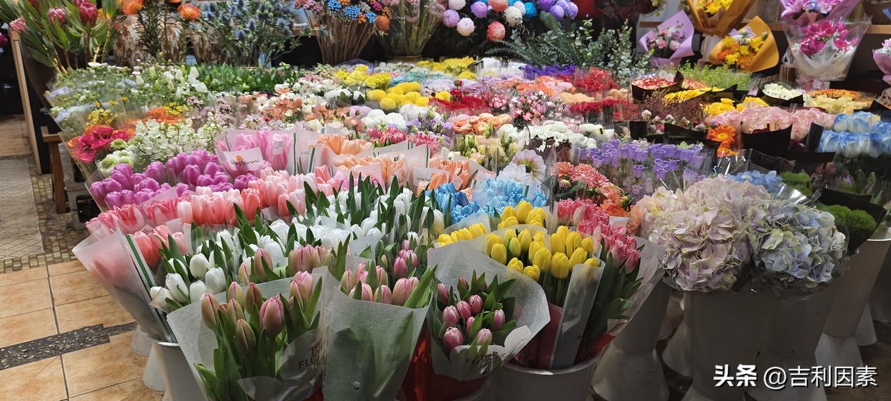 海葬相比传统土葬有哪些优势毫无优势，只会污染大海。传统土葬，几千年了，事实证明还