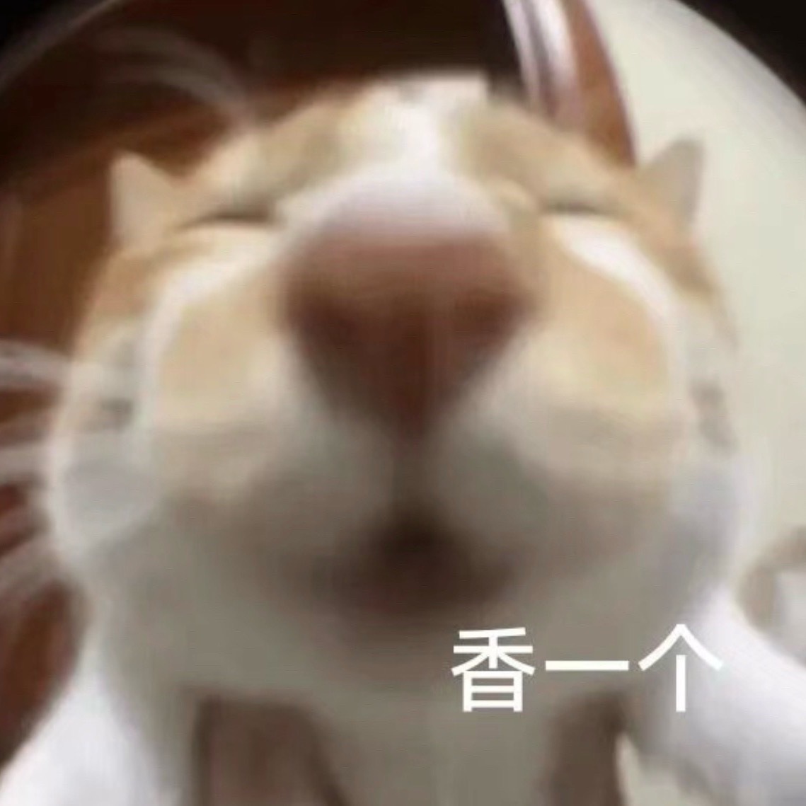 缓缓睡去