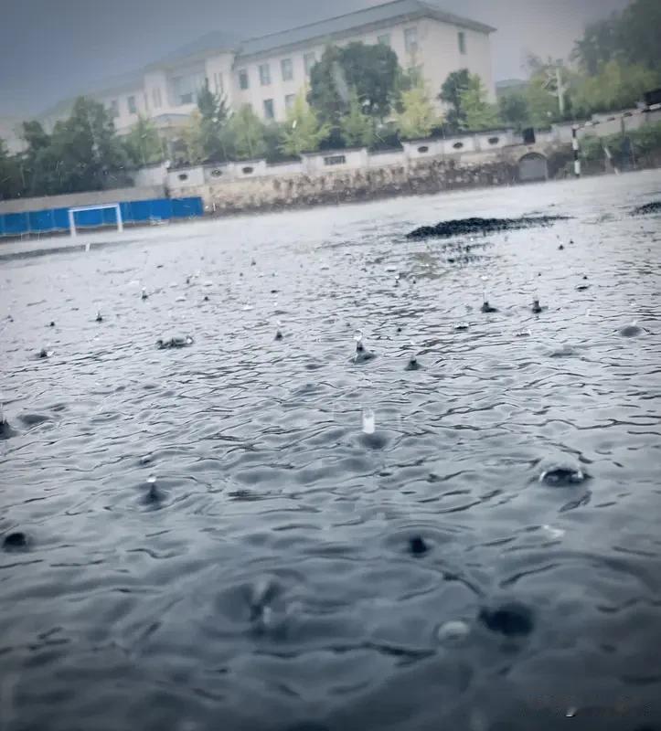 早上
没有打伞
没有穿雨披
骑着电车
在细细的雨里骑行
清爽畅快
在雨中
买了水