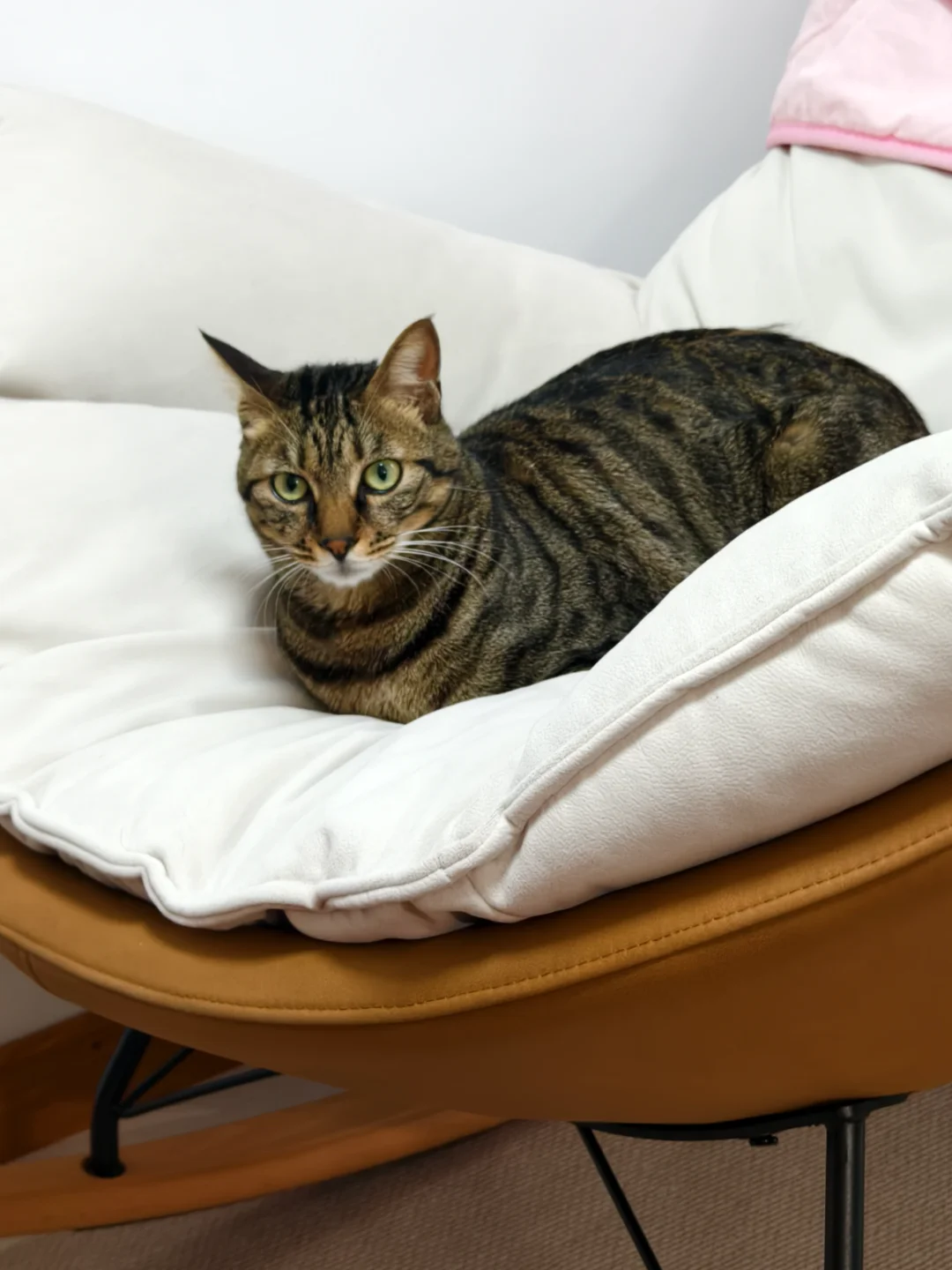 工作日也要心态好啊朋友们