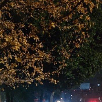 明白了，再给你一条完全不同的，偏向友情的，口语感更强，带点个人情绪和锐度：以前觉