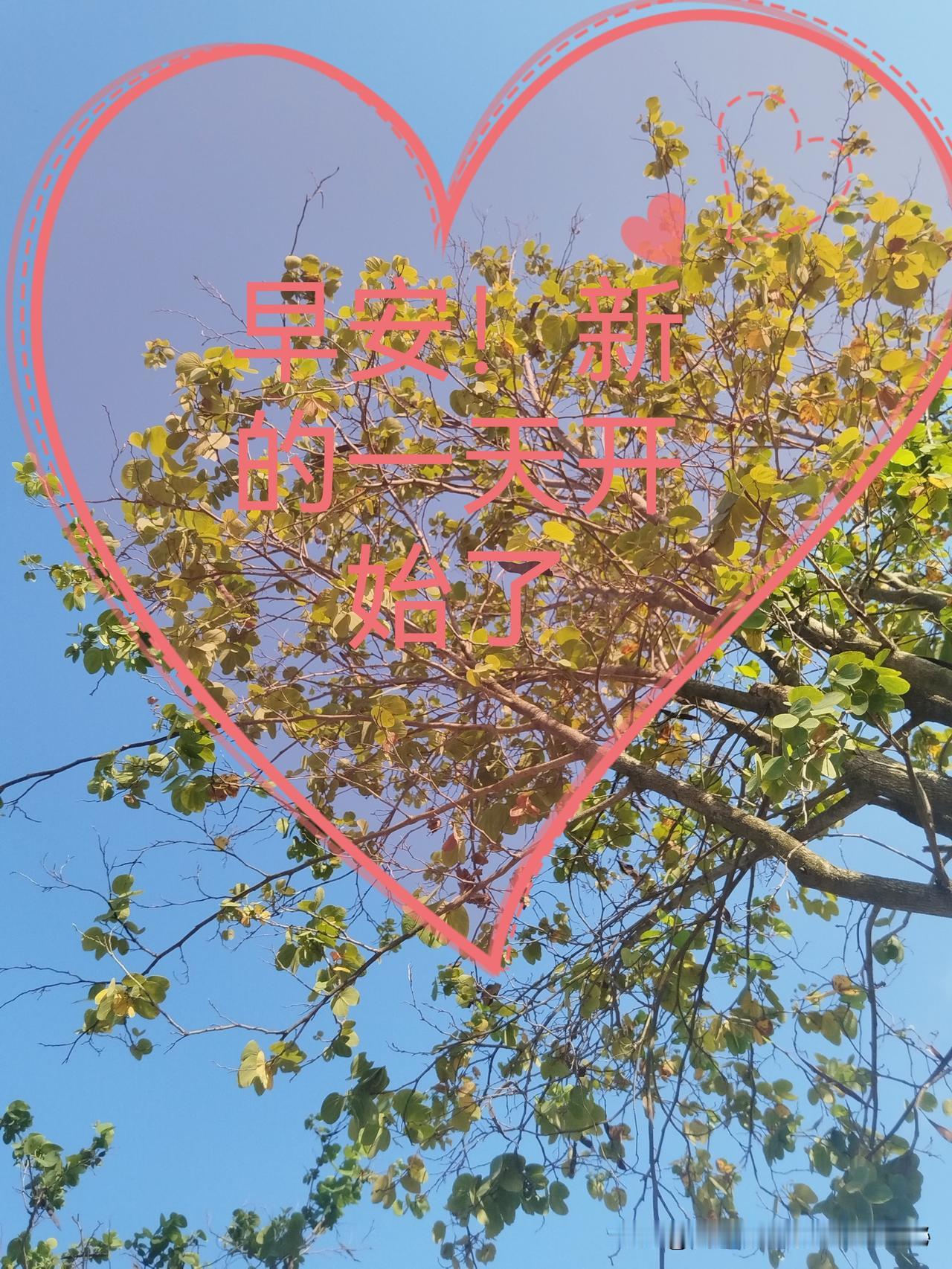 早安！新的一天开始了，快乐珍惜当下，没有永恒的今天，只有要迎接的明天！好好爱自己