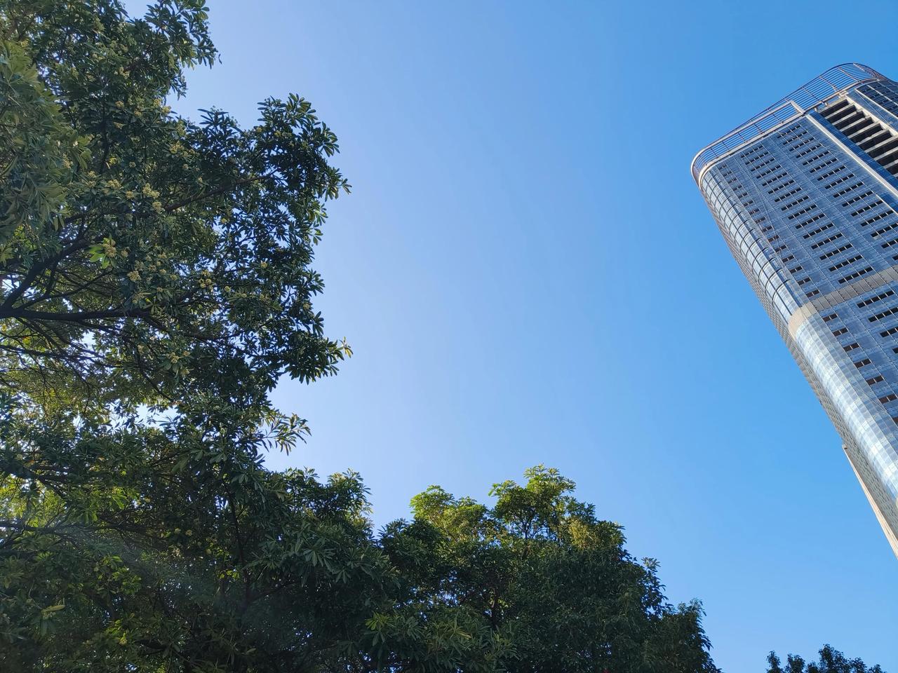 昨天一跌，今天连本带利大涨70个点回来，就问你们服不服。
   在之前我一直跟你