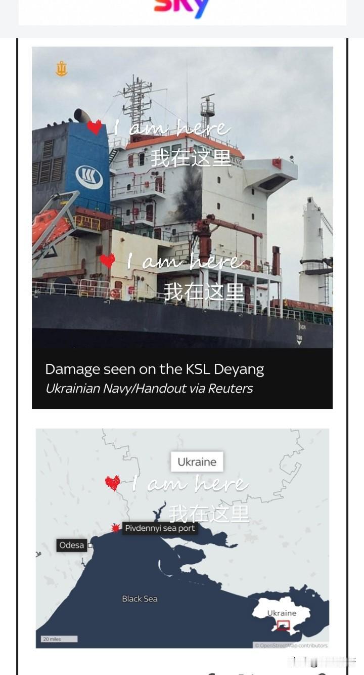 看到一条新闻，英国Sky news发的。说是大国的商船被Russian的无人机?