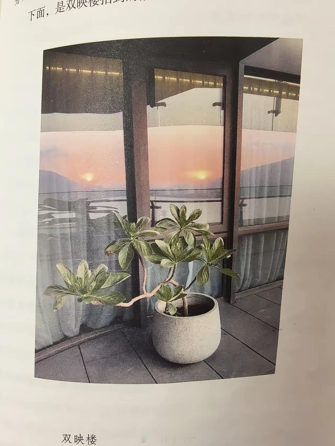 琼瑶的最后两年多，住进了位于淡水的新家，站在阳台上，可以看到外面的车水马龙。迁居