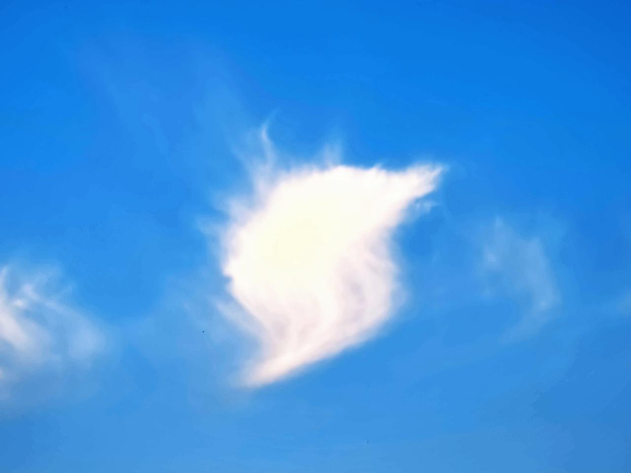 觉醒后，
看淡，看开，看远……

刻意伤害你的人，
看淡，
不去在意，
即是解脱