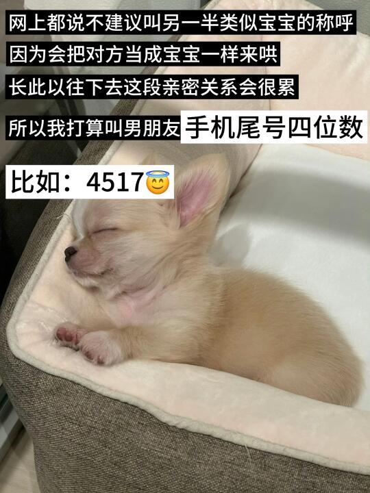 喜欢我们抽象人的有福了