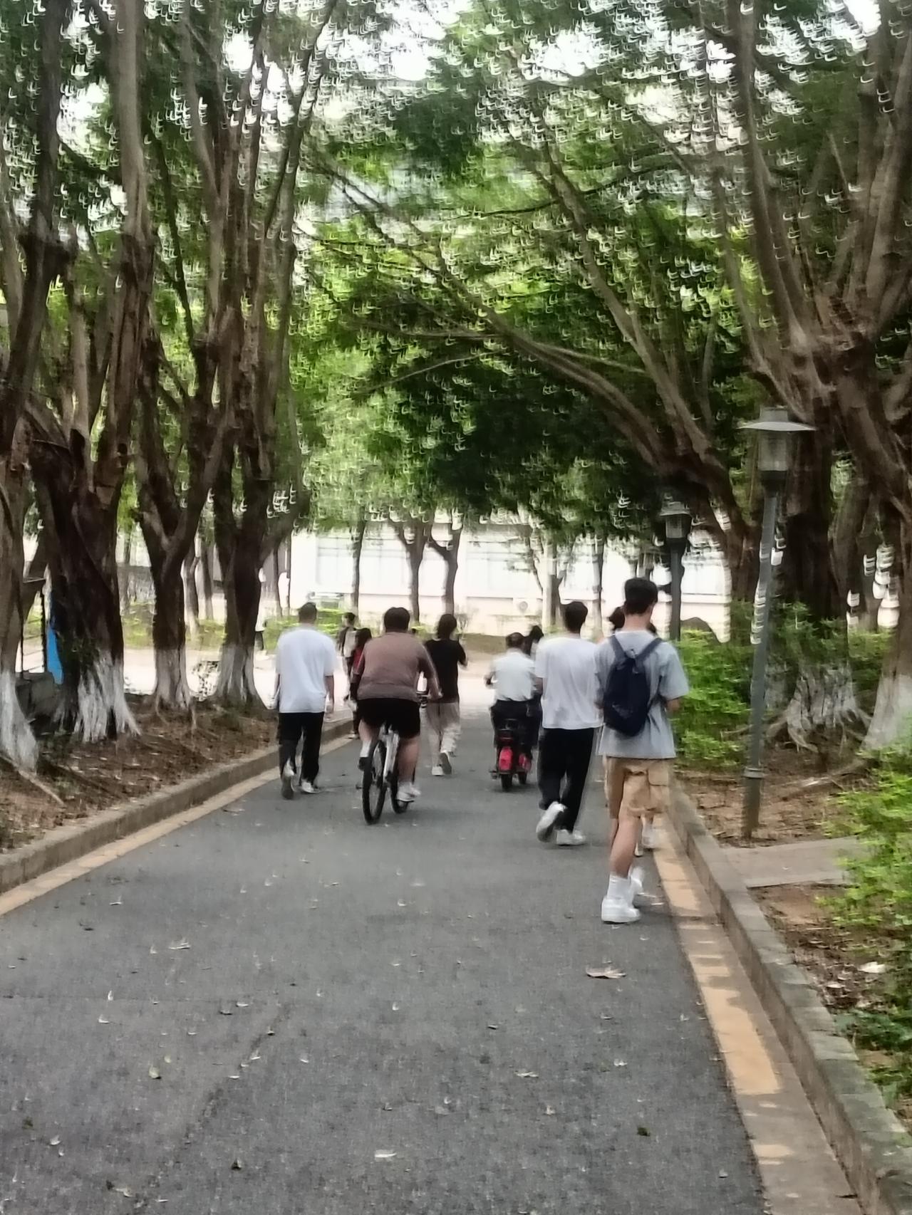 早八课上悟到的成事心法：原来馄饨摊阿姨的话早给了答案
你敢信吗？我差点因为一个早