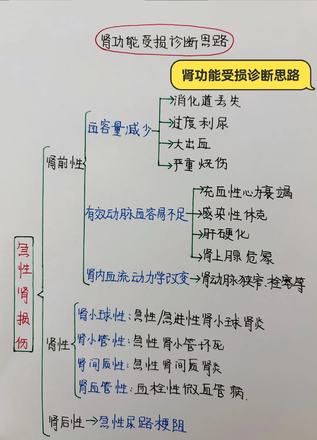 今日学习打卡——肾功能受损诊断思路