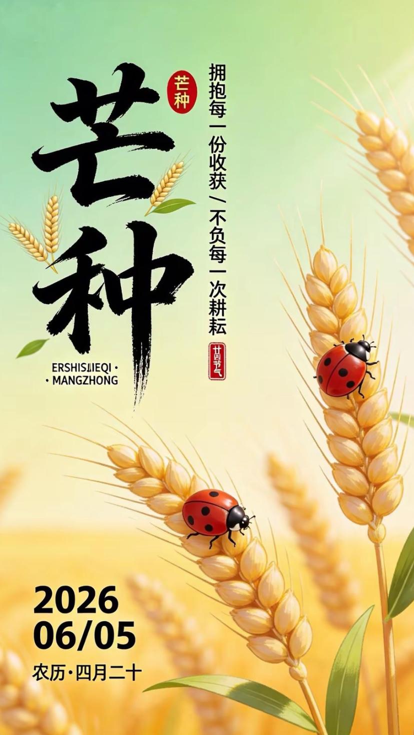 夏晨问安，躬身不负三旬夏，静待硕果满院香。
2026./06.04.
[微风][