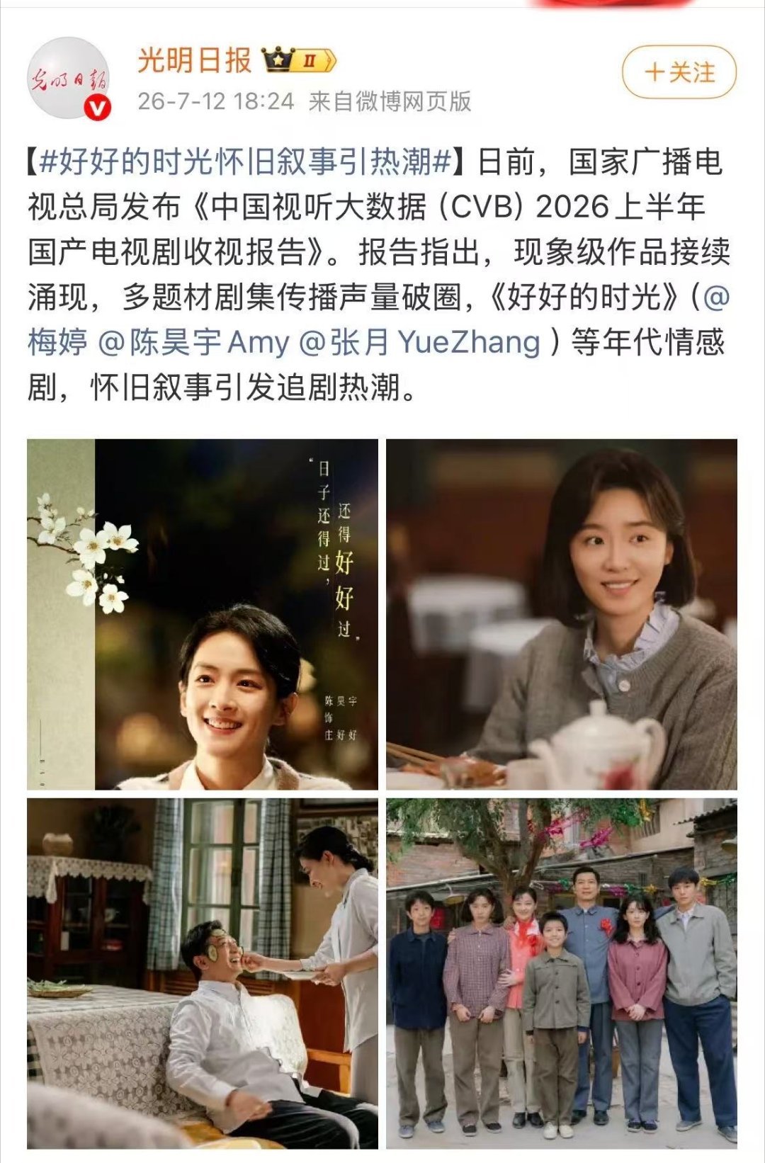 据《中国视听大数据（CVB）2026上半年国产电视剧收视报告》，梅婷、陈昊宇、张
