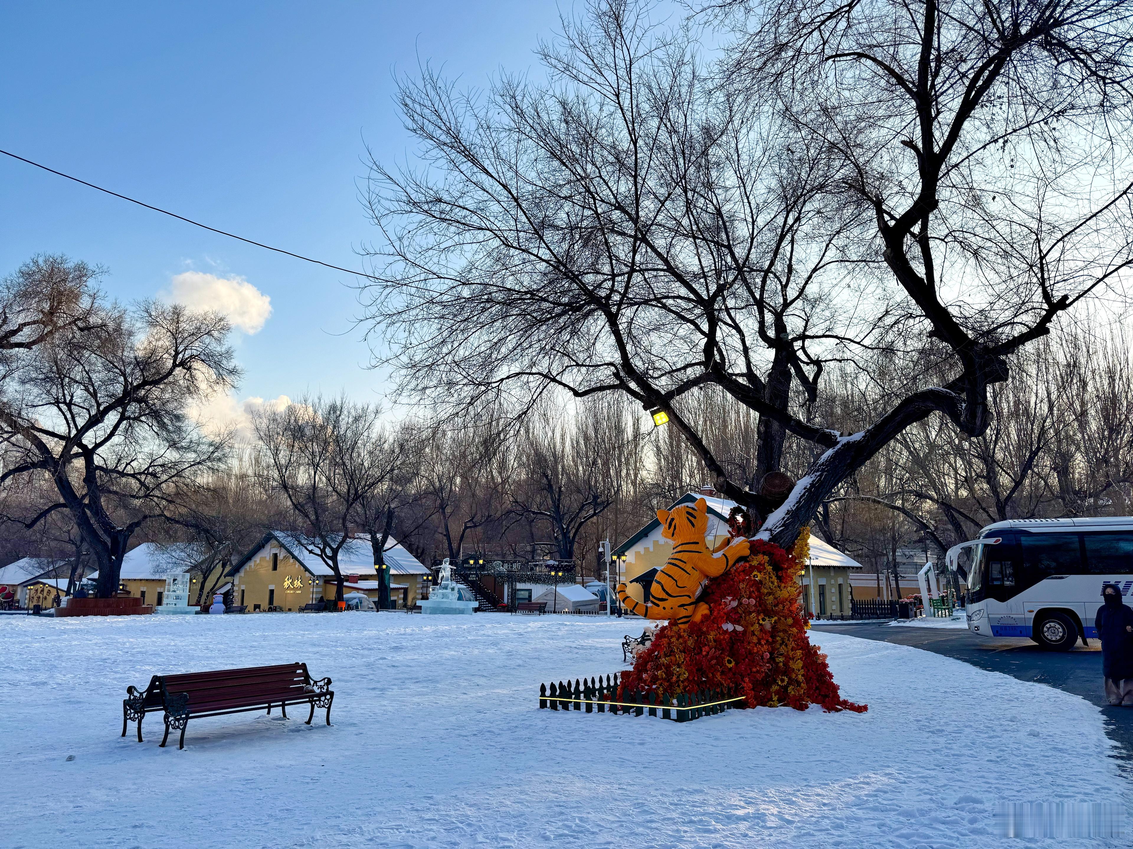 万千气象看龙江 踩着落雪走进黄房子街区，瞬间读懂来龙江最动人的冬日浪漫。百年俄式