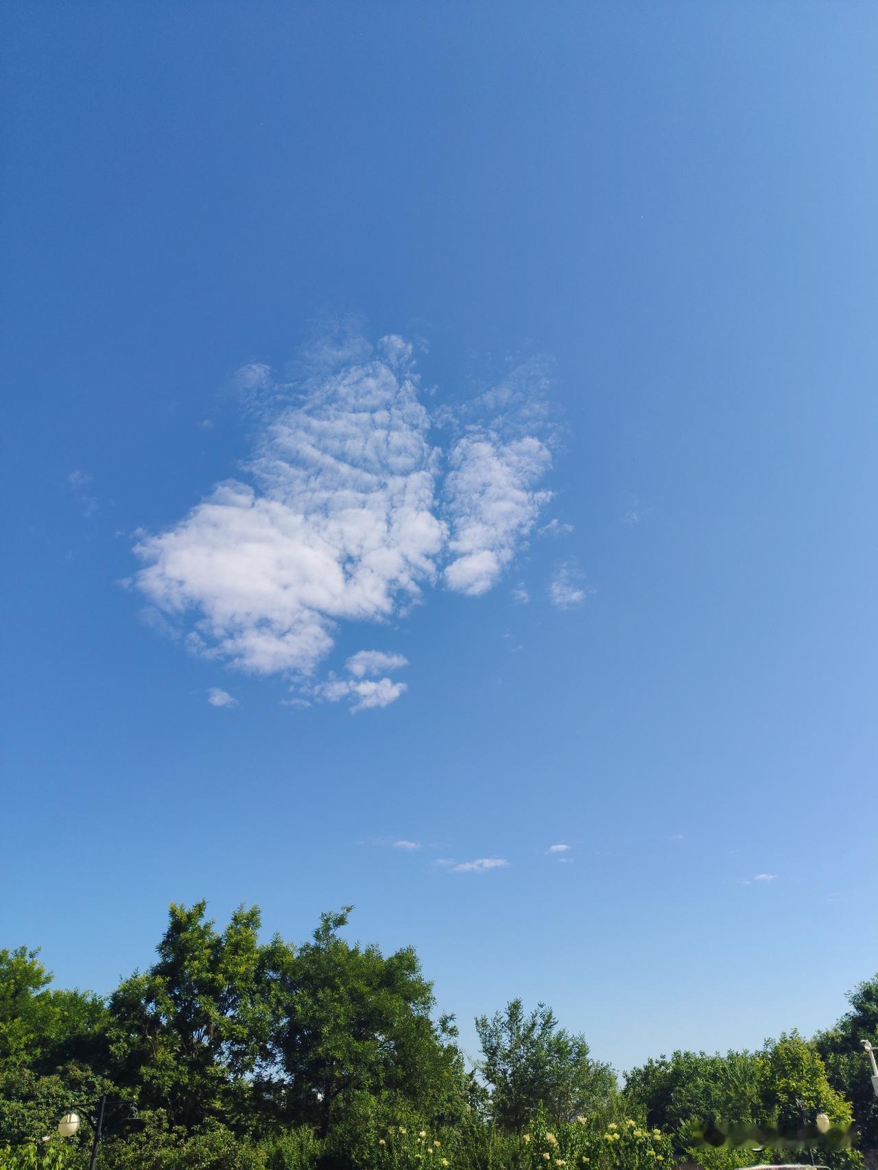 这是何时的天空呢？那你来猜猜吧。蓝天上的白云。也是清晨还是早上，还是午间？反正挺