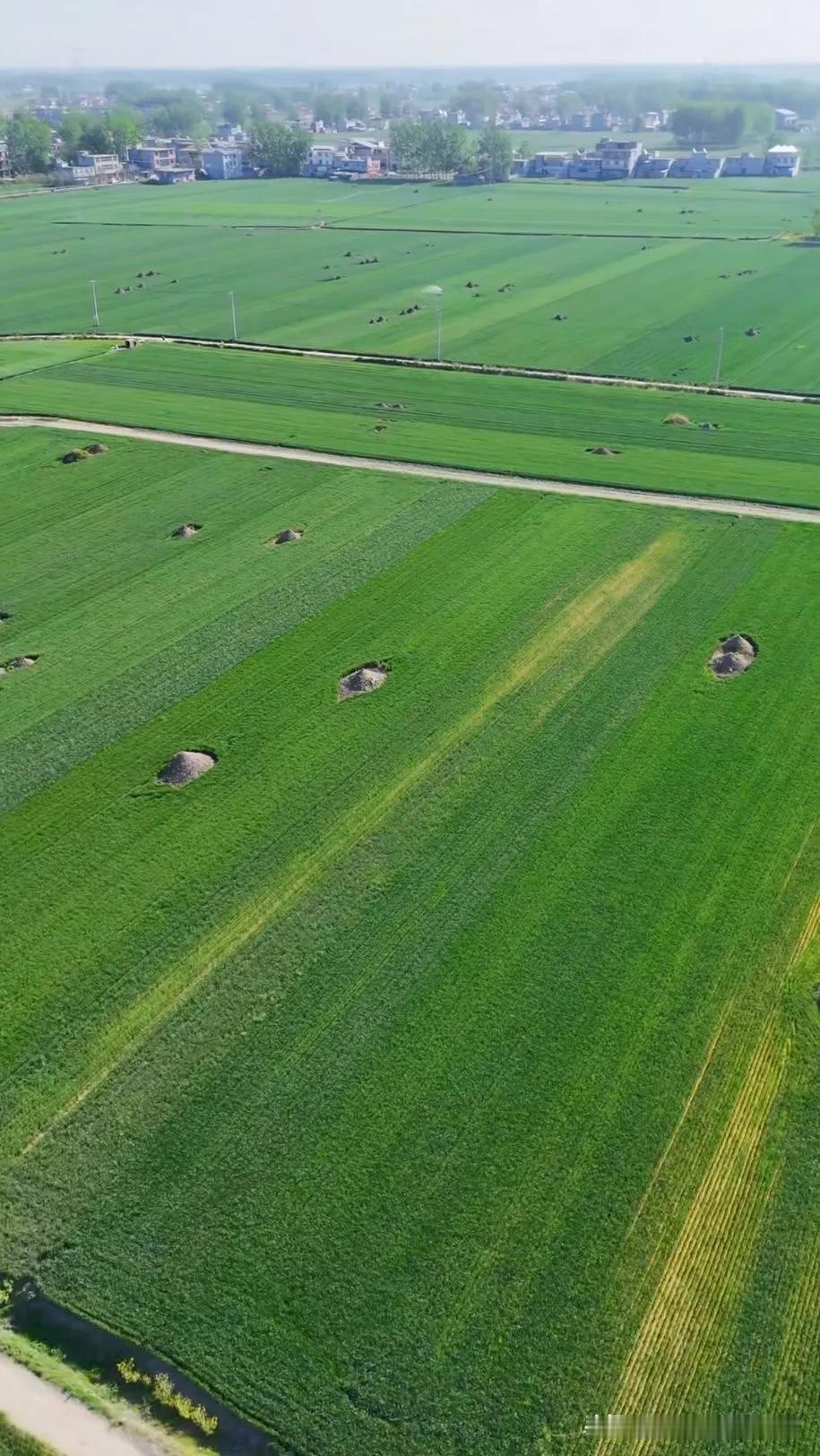 航拍镜头下，我国北方农村田间的坟头。我国南北方各种差异真的很大。南方的乡村，基本