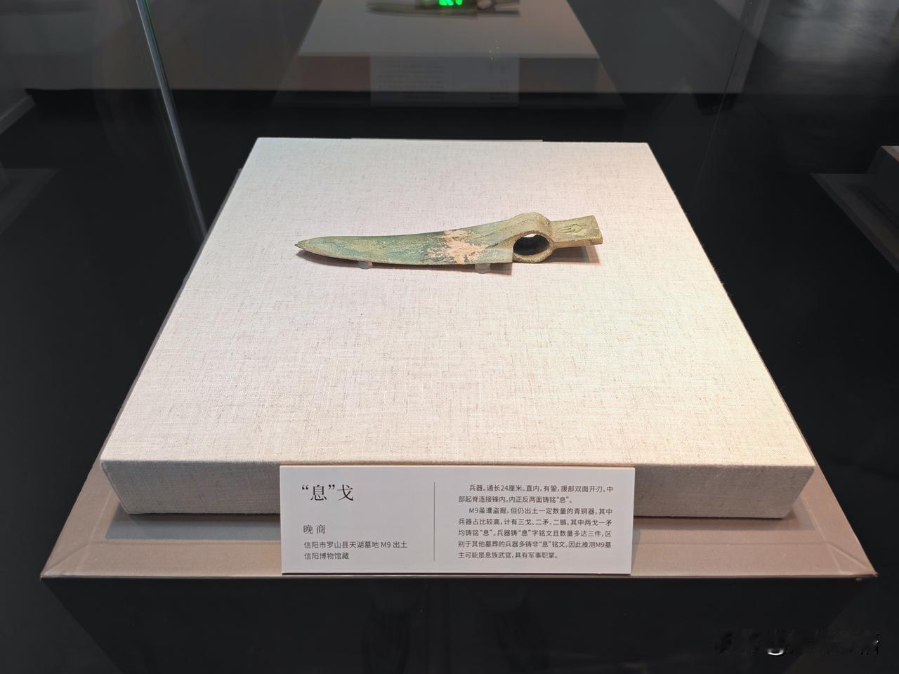 南土有息·信阳罗山天湖息国墓地特展（二）