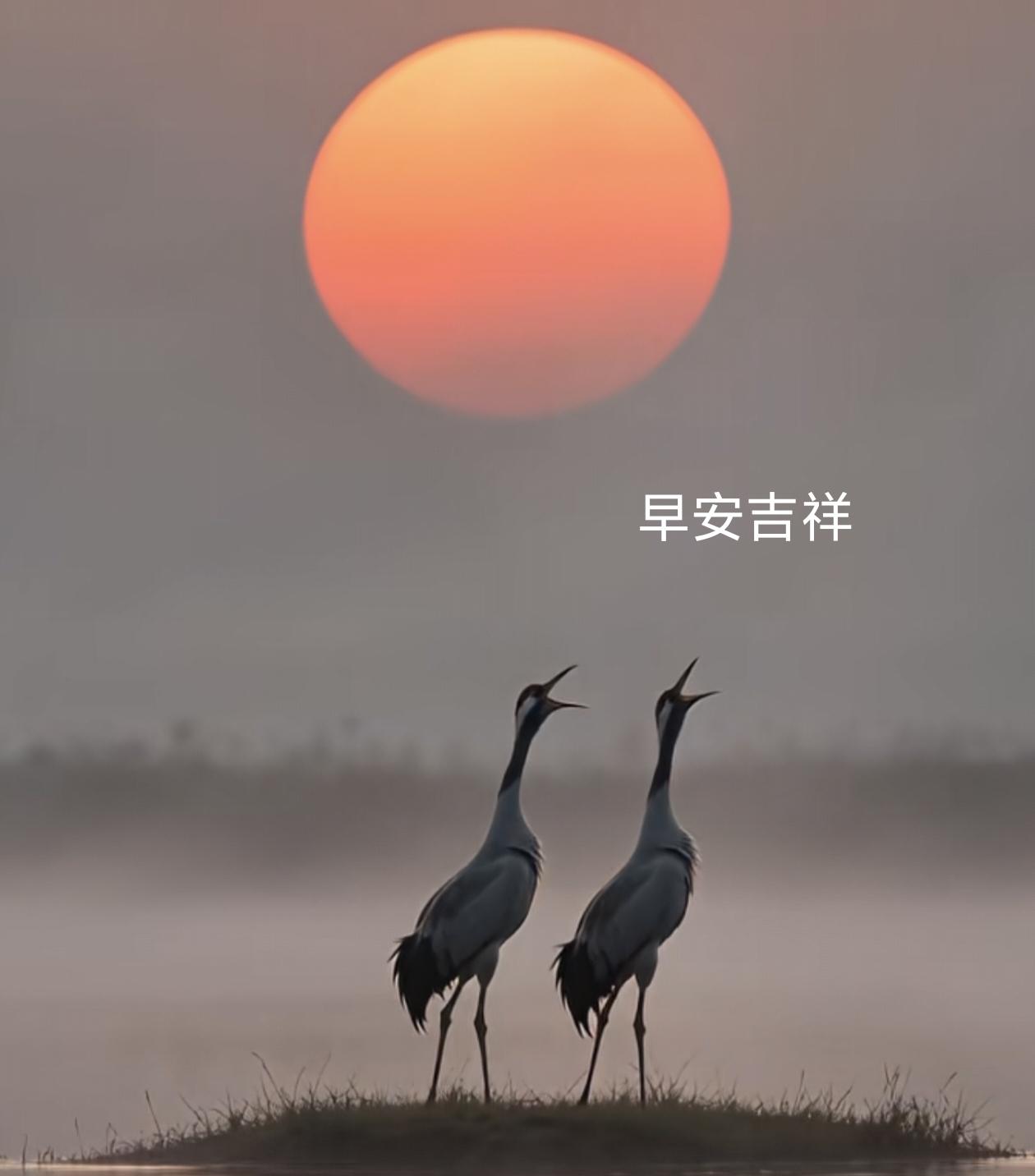 你觉得做家务能替代运动吗本身就是一种室内运动，而且还是不知不觉的全身运动，它们换
