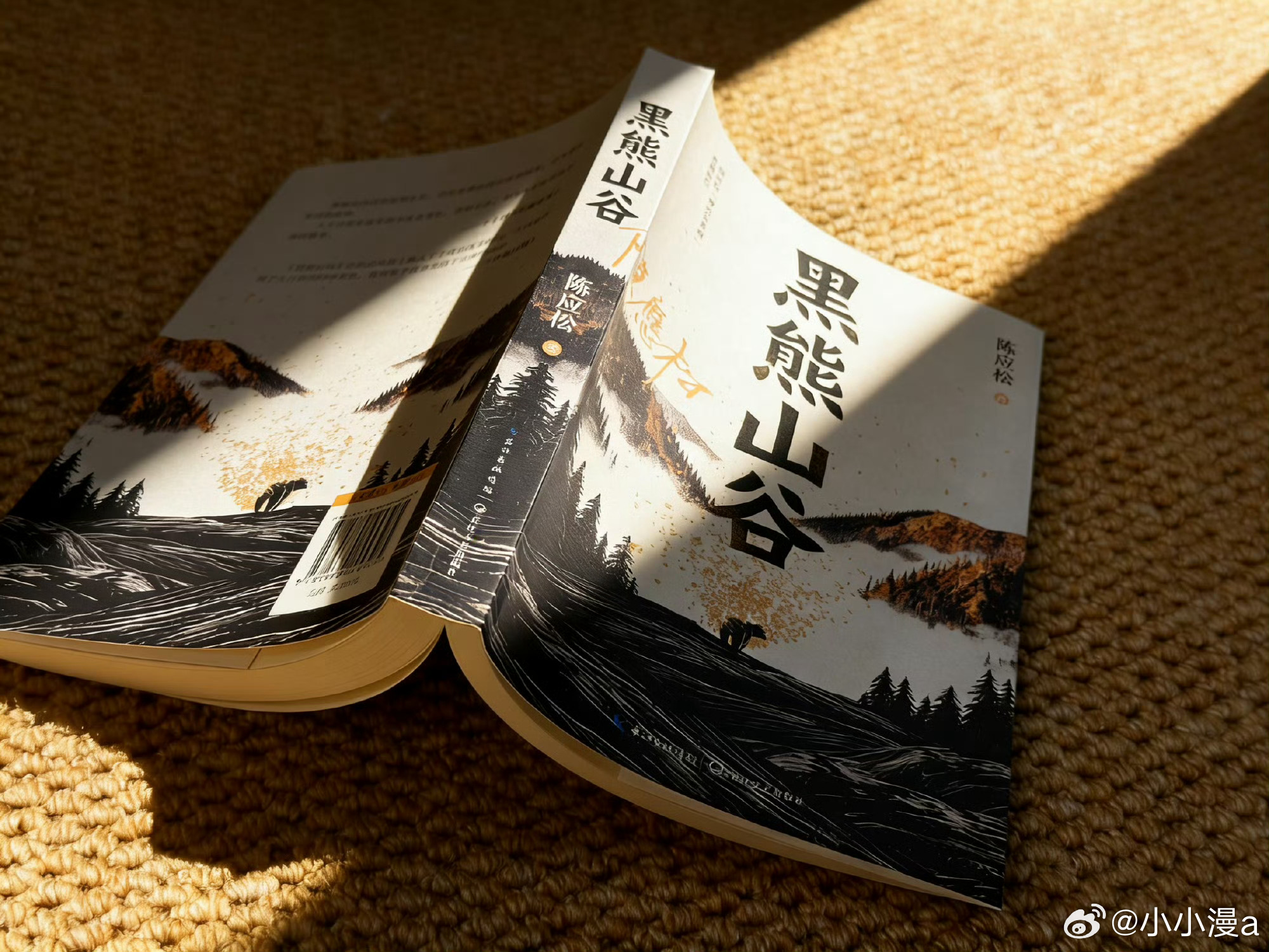 永远都会被文字震撼我的私人宝藏书单书评 《黑熊山谷》著名作家陈应松“神农架系列”