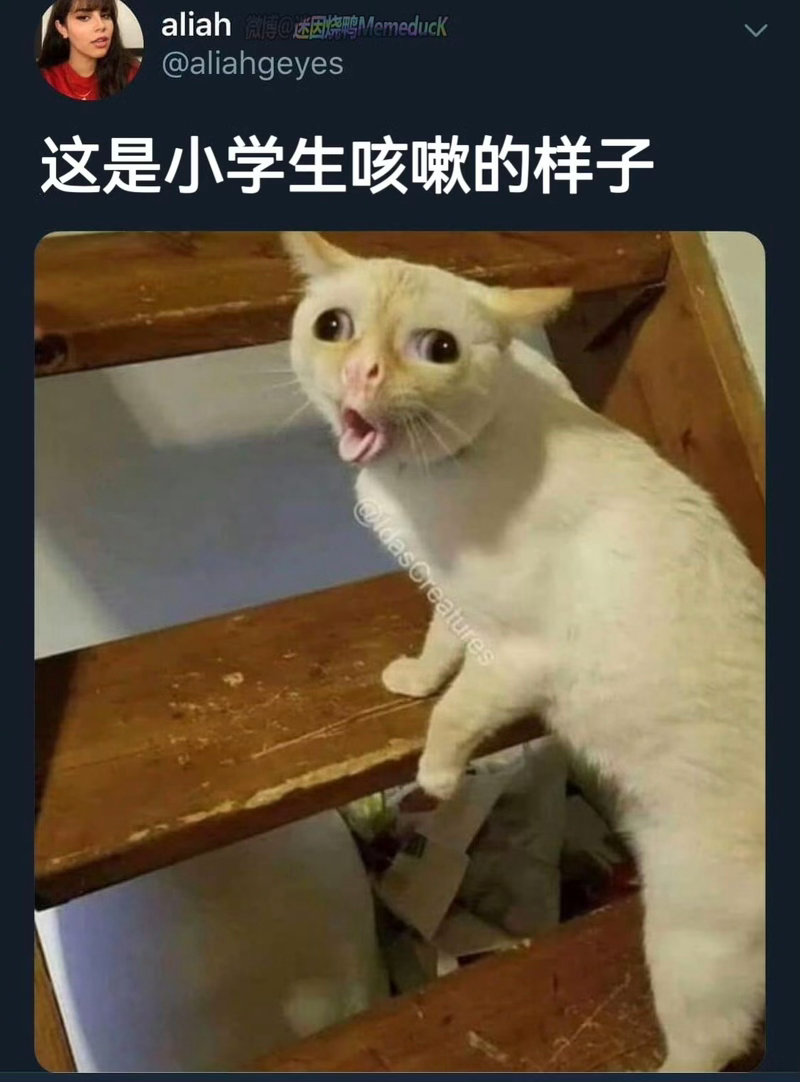 一致的 