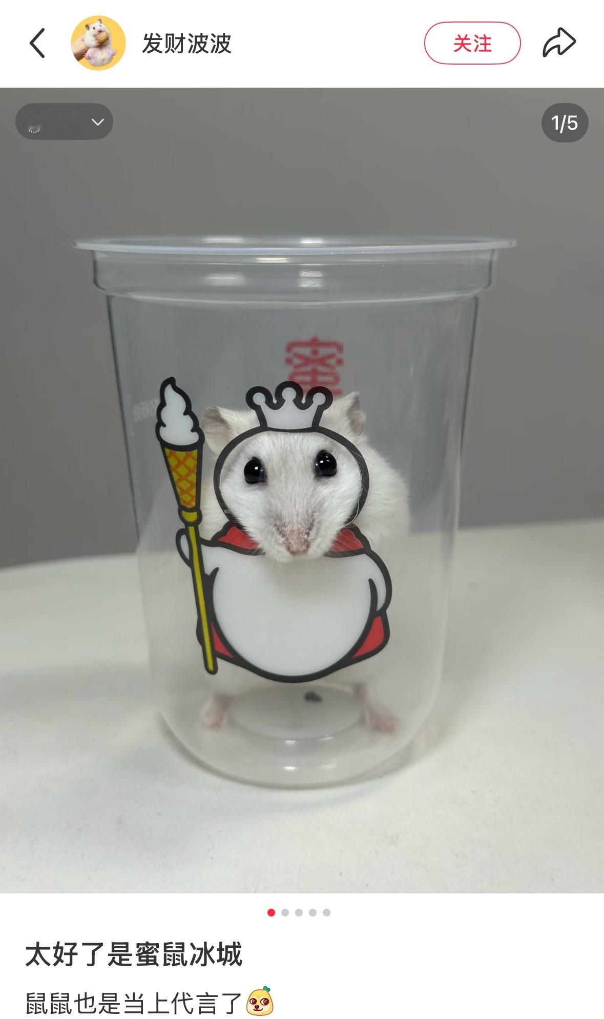 蜜鼠冰城🐭 ​​​