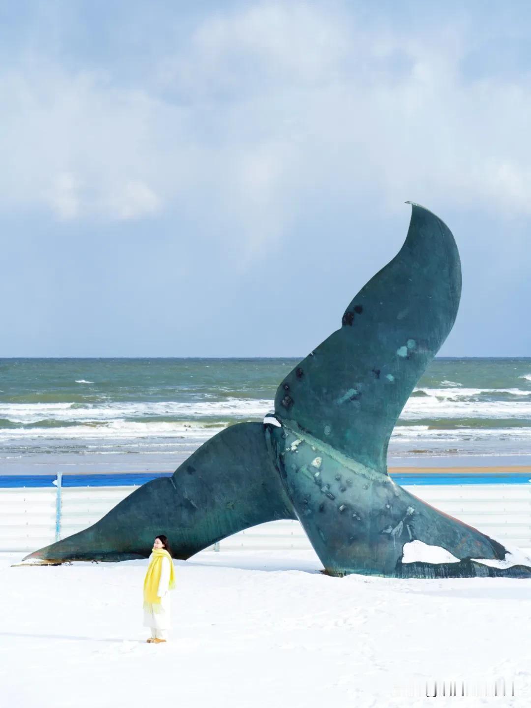 在新年把烟台童话带回家这个新年被苹果市俘获 谁懂啊！烟台的新年直接把童话书搬进了