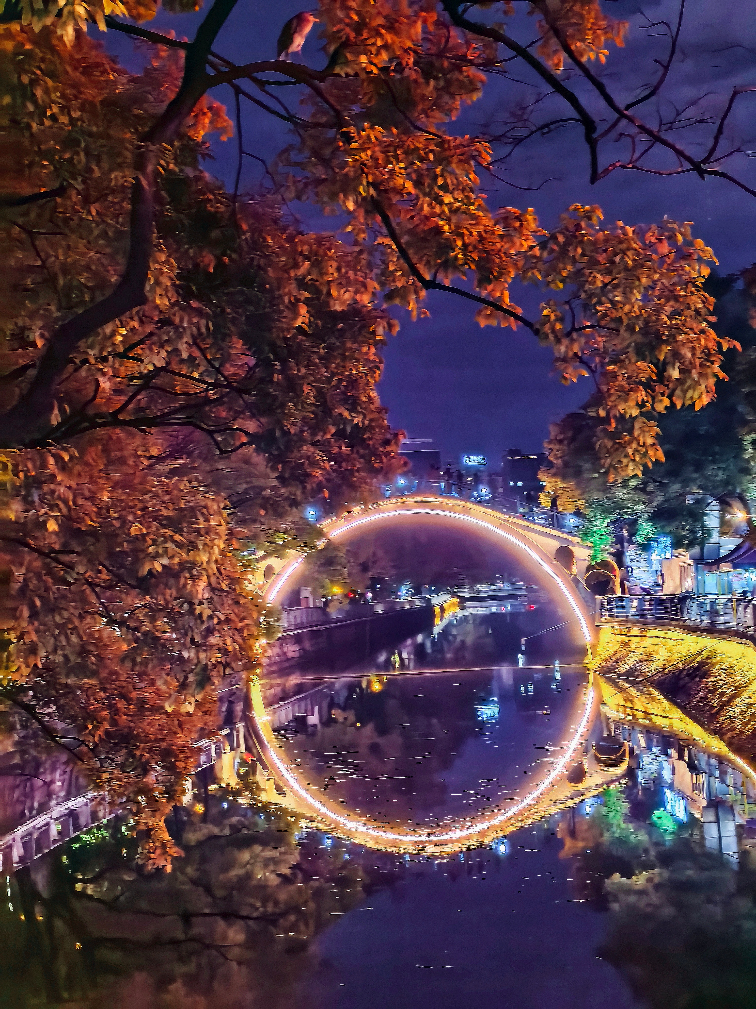 拱桥明月夜明月录生活手记 ​​​