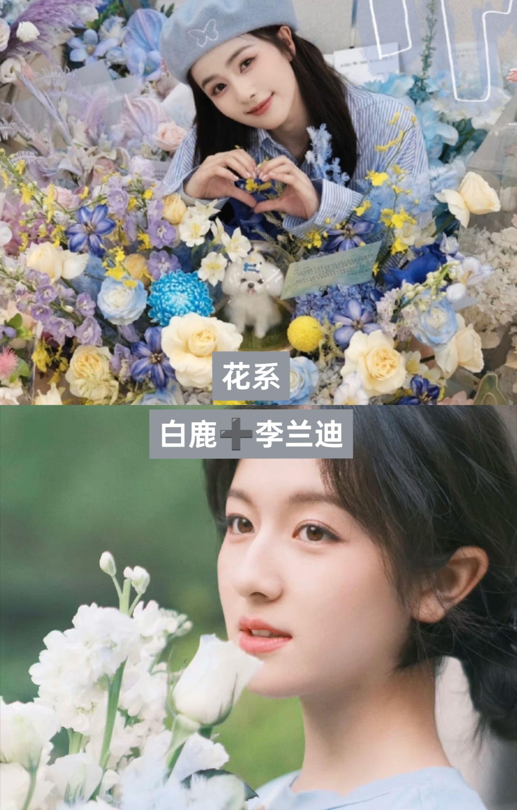第二弹：百花齐放的女明星。