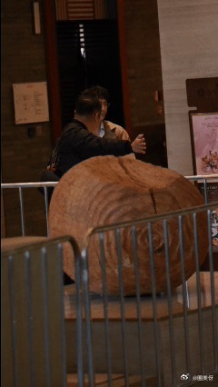 恩利加盟桃花坞6桃花坞第六季重庆路透恩利加盟五十公里桃花坞6，这阵容直接期待值拉