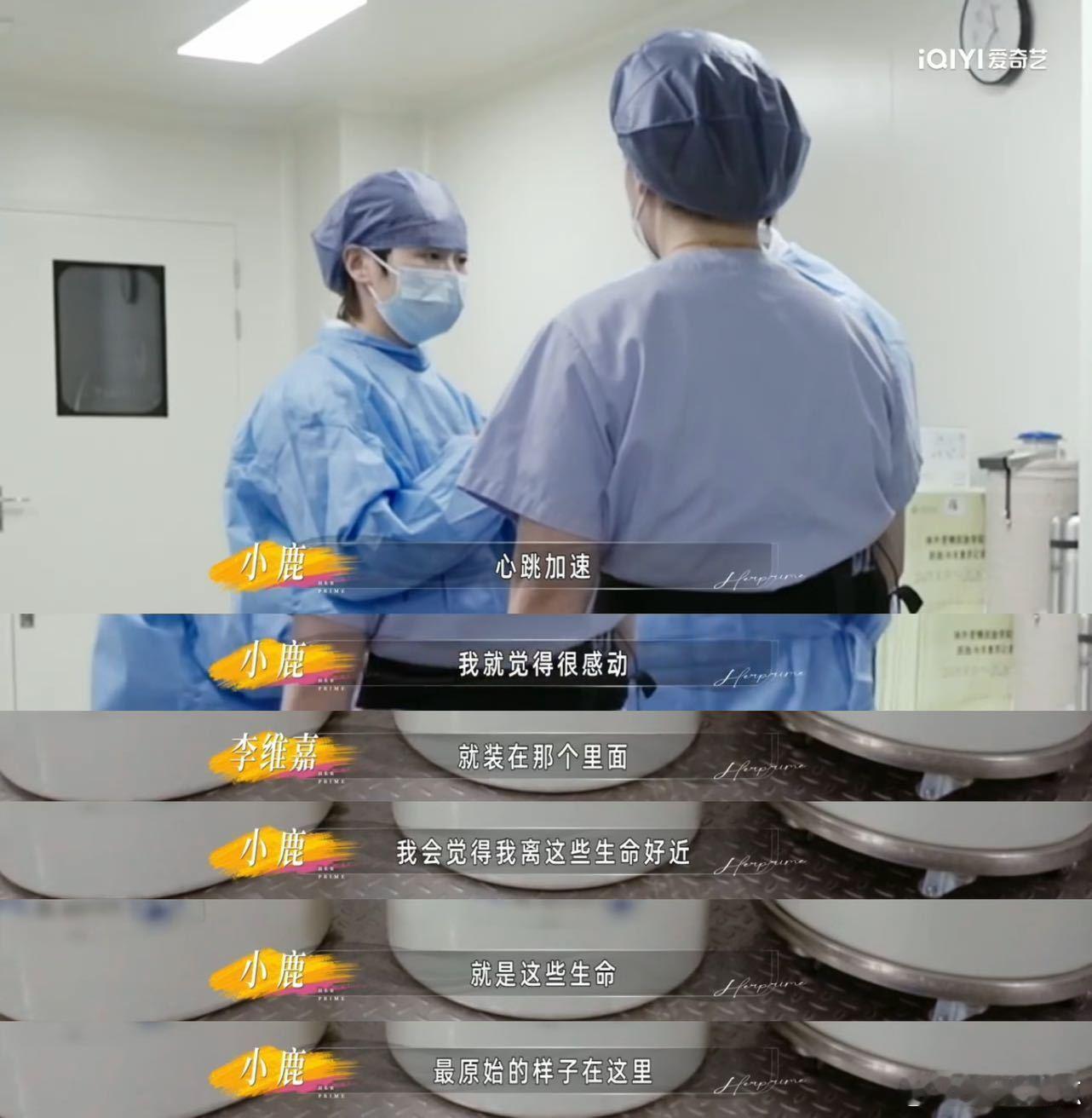 四个胚胎桶里有34000个最小人类好多家庭卡在备孕这一关！看姐姐当家 2小鹿汤包