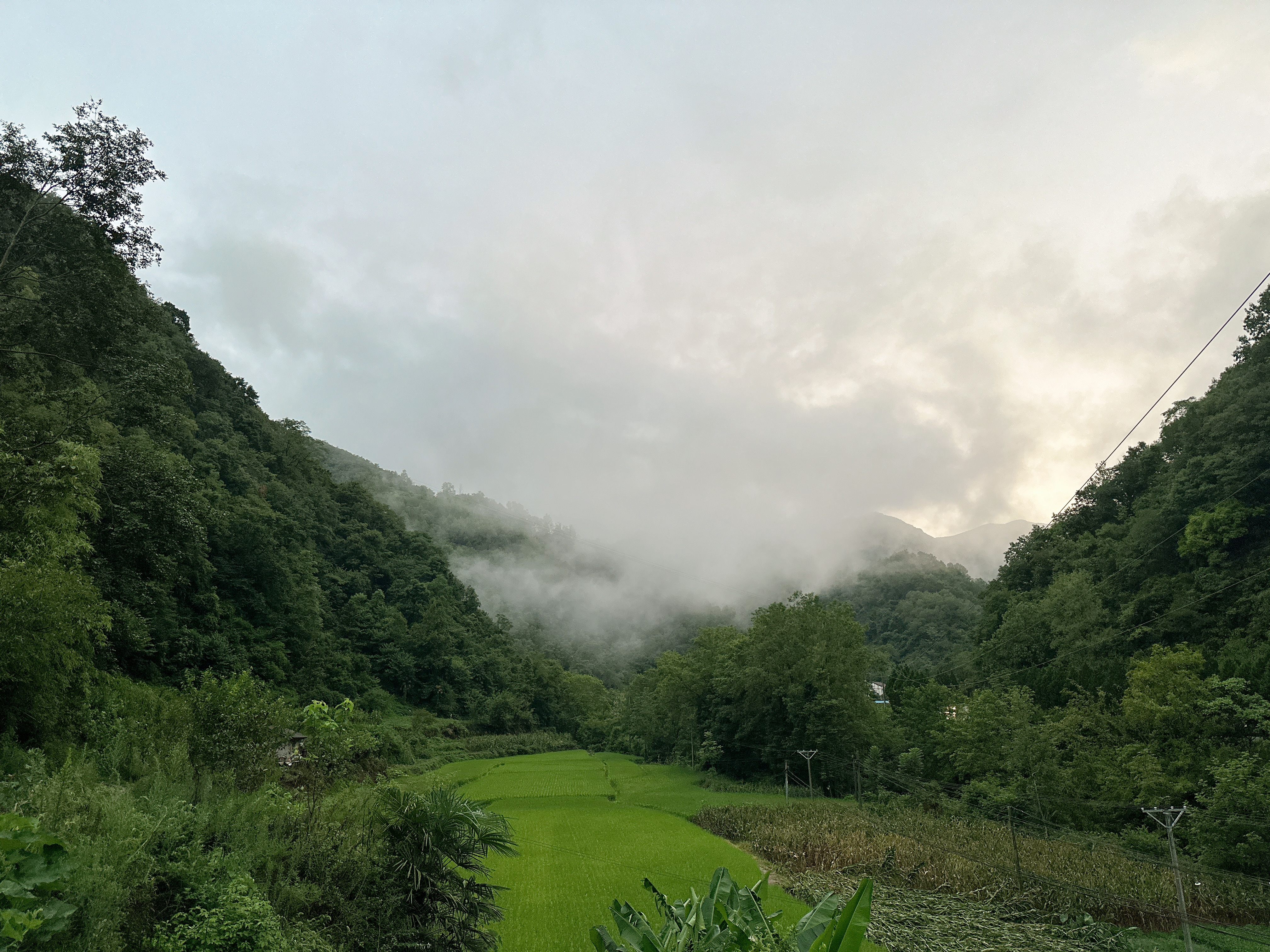 天哟，我这是住在仙境里 安康·草池湾朱鹮小村