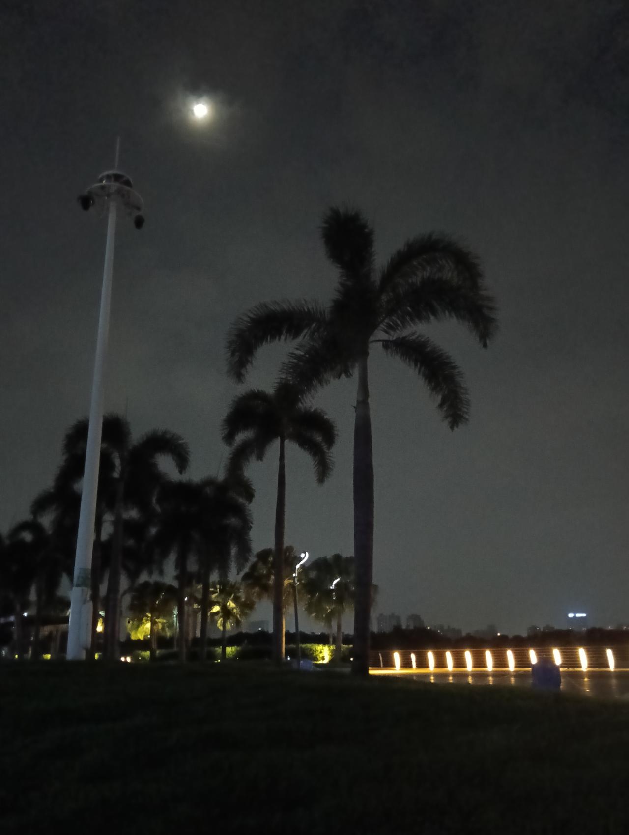 凌晨三点的青年公园还有年轻人约会，真浪漫