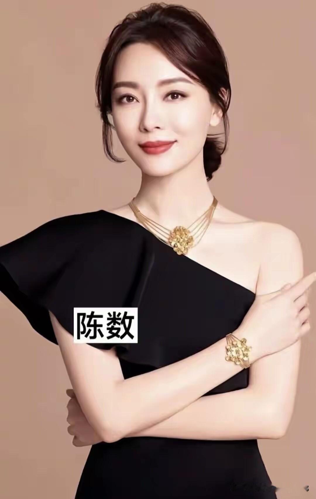 陈数是珠圆玉润的美，众多女演员中，属她最耐看，集气质和演技于一身的女演员。

袁